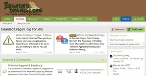 e80e78-beardeddragon-org-forums.webp