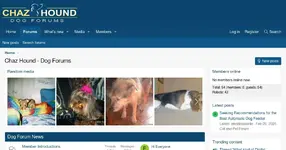 7e0a44-chazhound-com.webp