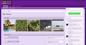 34e8d7-hipforums-com-forum.webp