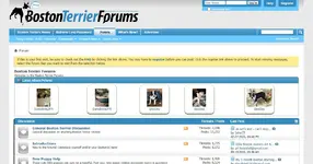 75f3s2-bostonterrierforums-com-forum.webp