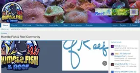 Saltwater Fish Health and Reef Tank Care Forum