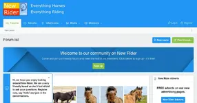 Horse Riding, Training Support, and Equestrian Care Forum