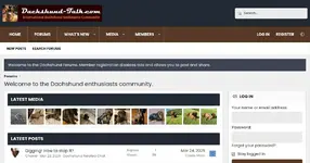 Dachshund Enthusiast Discussion Forum