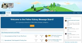 ngh8dx-felinekidney-com-FKMB.webp