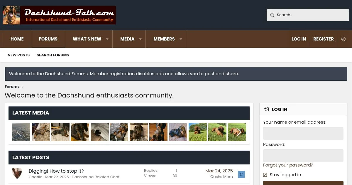Dachshund Enthusiast Discussion Forum
