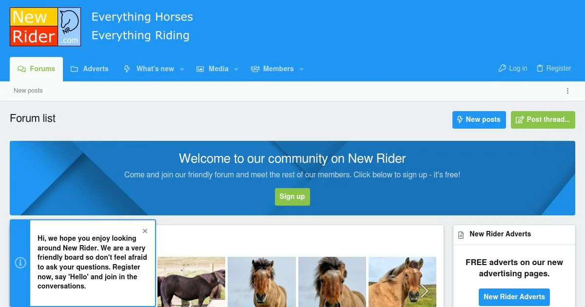 Horse Riding, Training Support, and Equestrian Care Forum