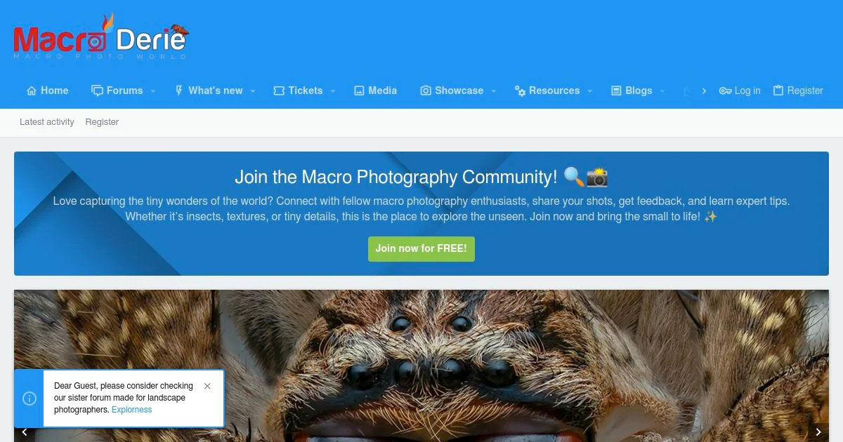 Macroderie: Global Macro Photography Community