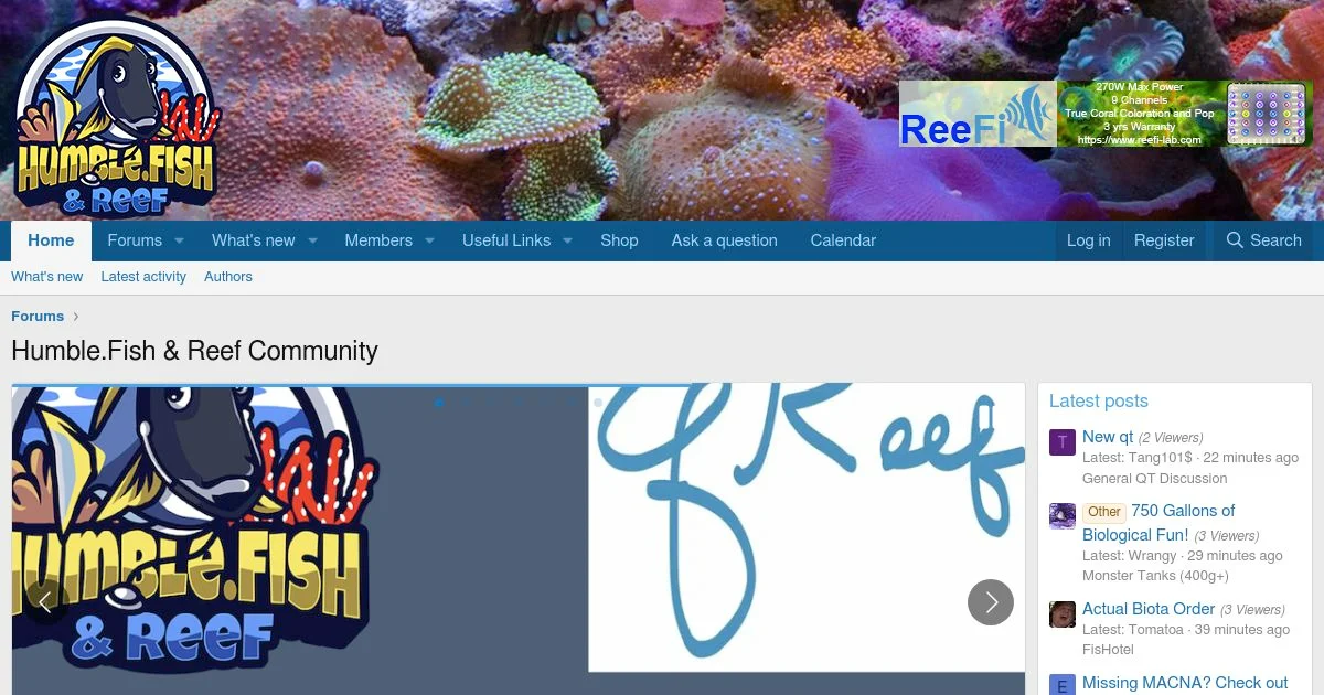 Saltwater Fish Health and Reef Tank Care Forum